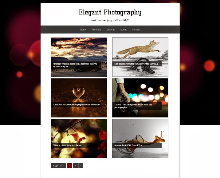 Elegant Photography
