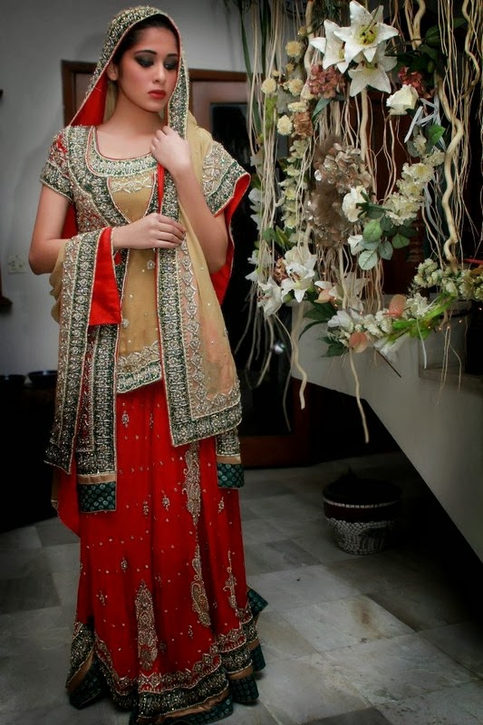 2014 Latest Pakistani Bridal Casual & Formal Dress Fashion Point