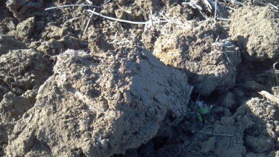 porus soil porus soil