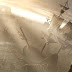 Mostrado en video el demo de Tomb Raider visto en PAX Prime 2012