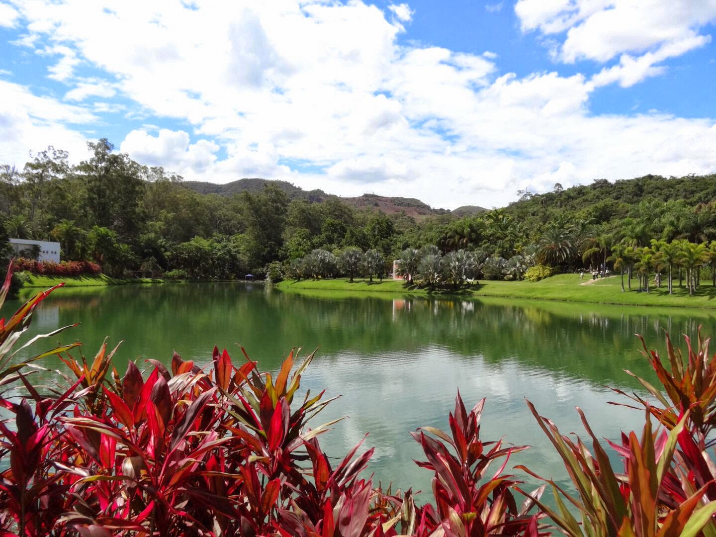 Teia Design Parque de Inhotim Brumadinho/MGBrasil