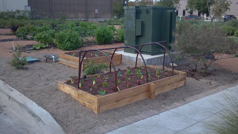 Download Raised Garden Irrigation Systems Background