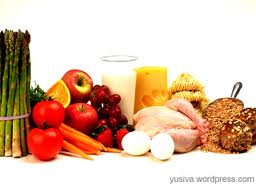 makanan sehat makanan sehat