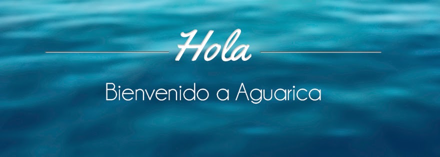 El blog de Agua RIca