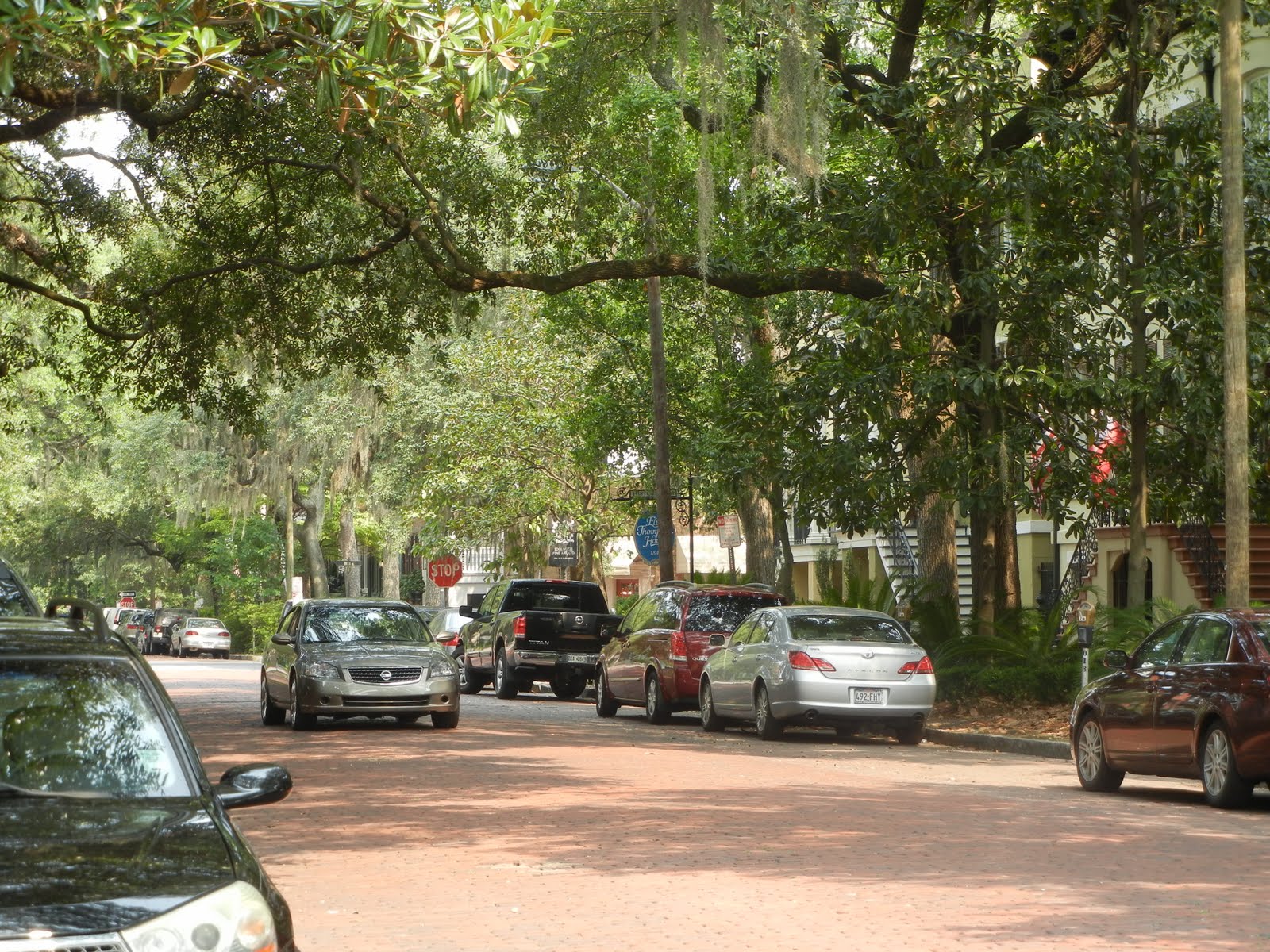 The French Tangerine savannah