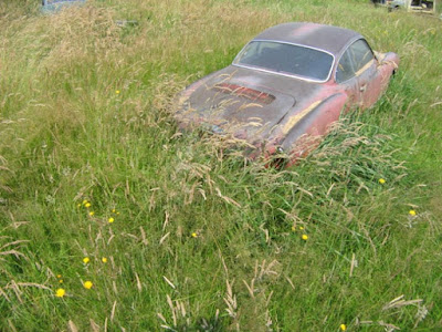 Carros Abandonados