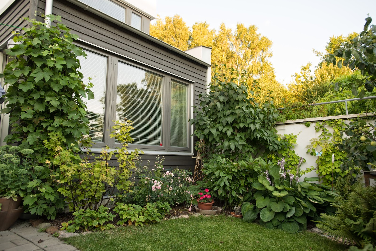 387 kvadrat : juli 2014