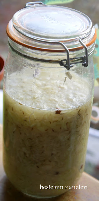 kotu bakteri iyi bakteriler alman usulu probiotik lahana tursusu sauerkraut 2
