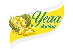 YEAA Durian