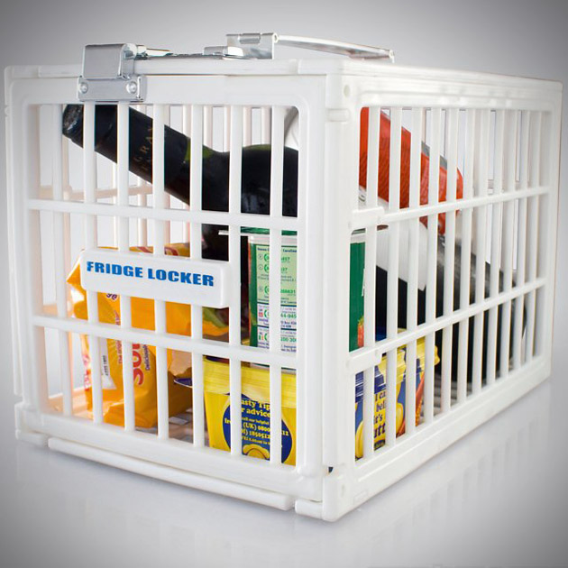 Cupboards Kitchen and Bath Genius Moment Fridge Locker