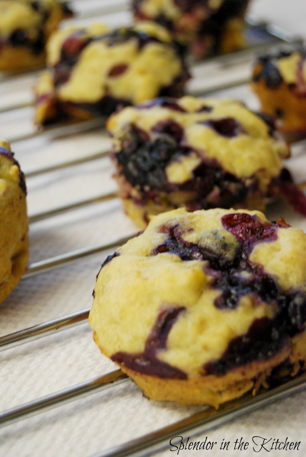 Splendor in the Kitchen BlueberryOatmeal Muffins with Mascarpone