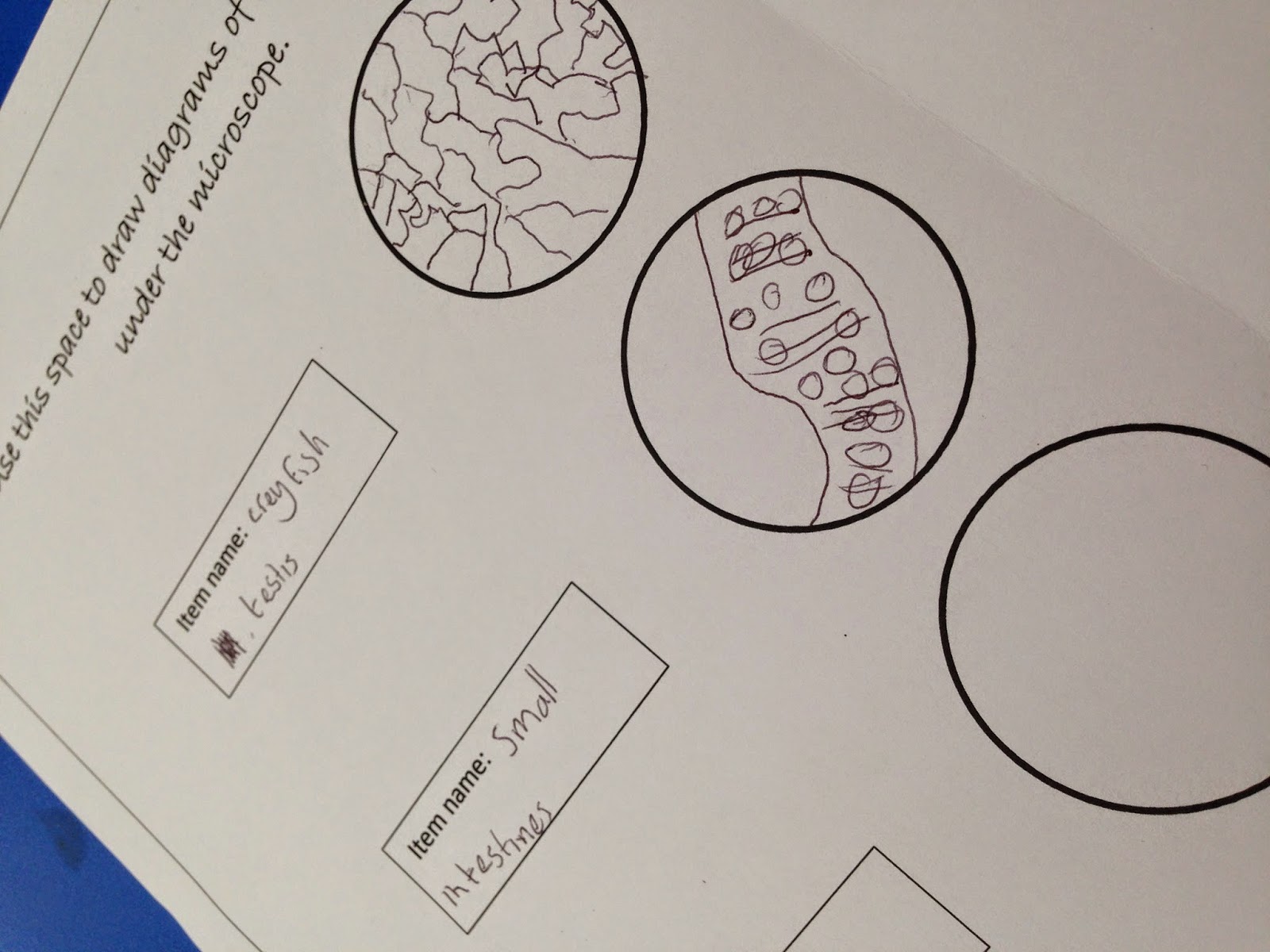 Scientific Formulas Calculations Physics Mathematics On Stock