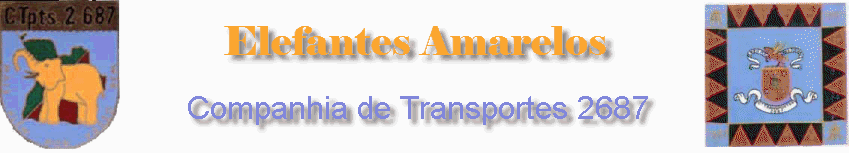 Compª. Tpts. 2687 (Elefantes Amarelos)