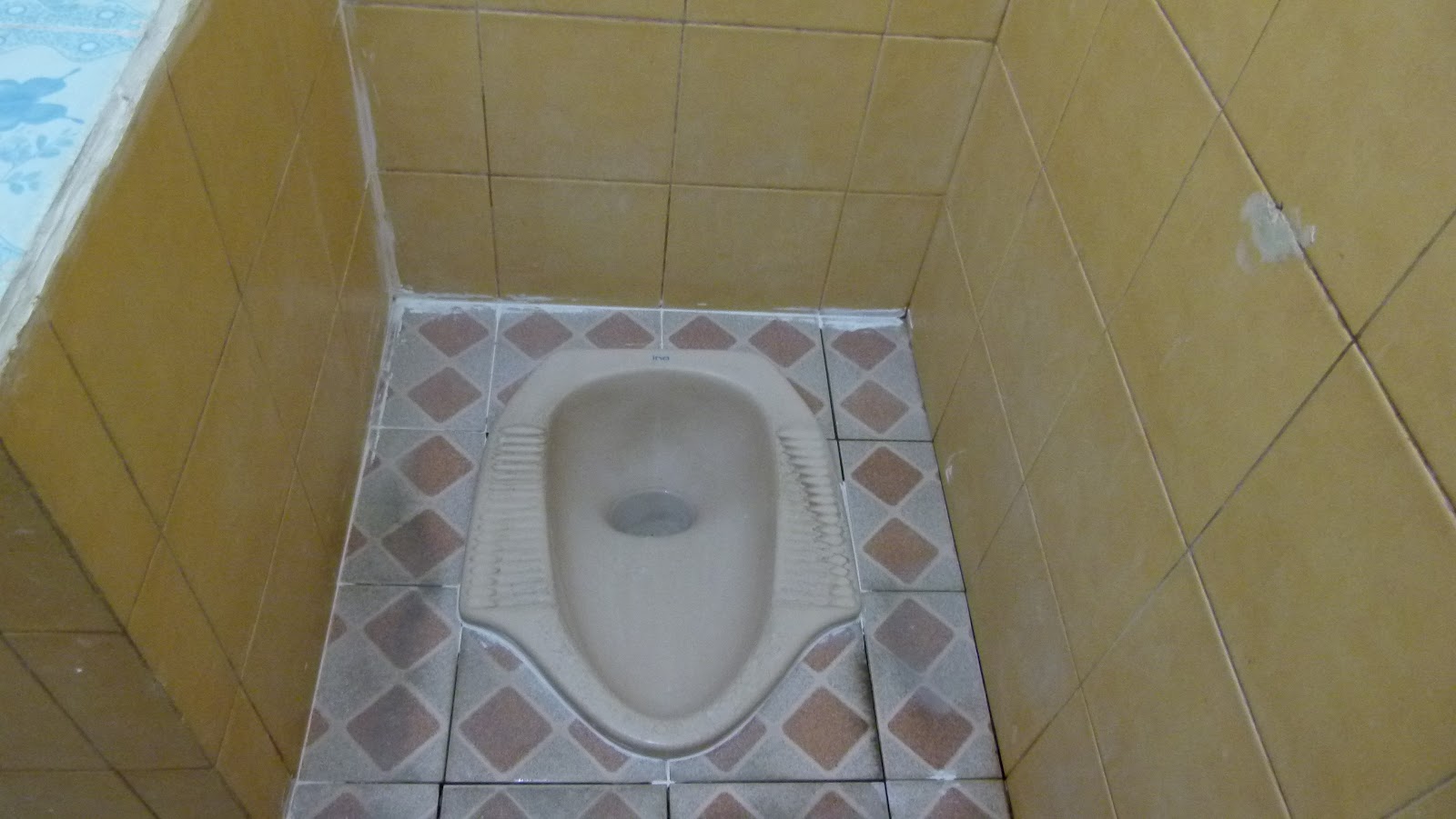 How To Use A Squatdown Toilet A Modern Nomad