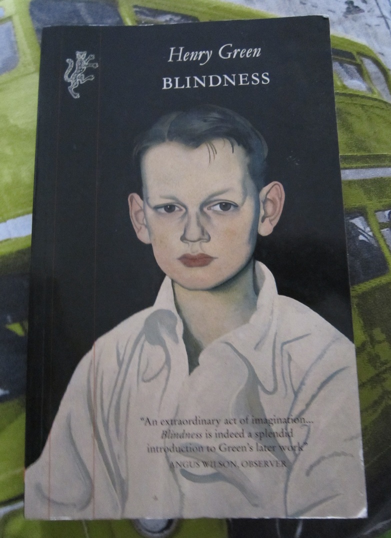 Blindness Book