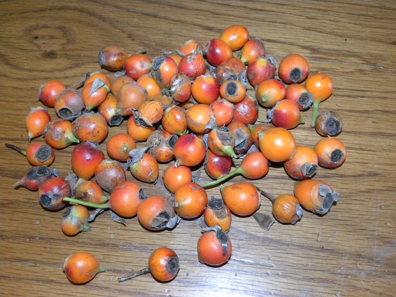 Red Dirt Roses Rose Hip Tea