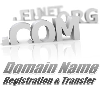 web domain registration and hosting