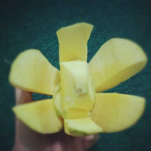 Atika S Celoteh Buah Dengkak