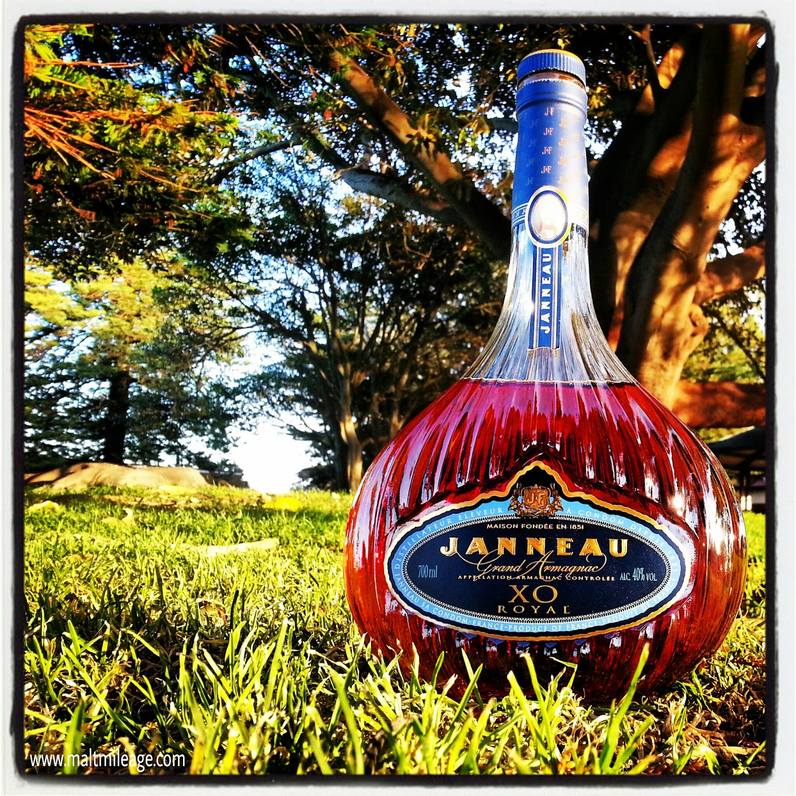 Best Tasting Alcoholic Drinks Best Tasting Alcoholic Drinks