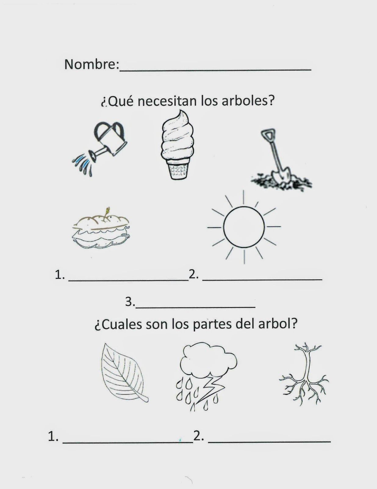 Spanish Simply Parts of a Tree in Spanish