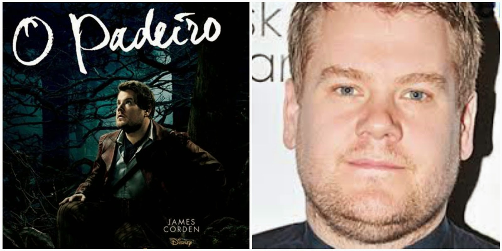 "Caminhos da floresta" a mais nova adaptação dos contos de fadas 10