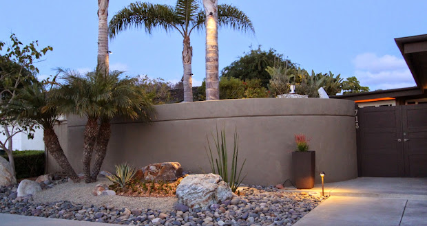 mid-century modern drought tolerant