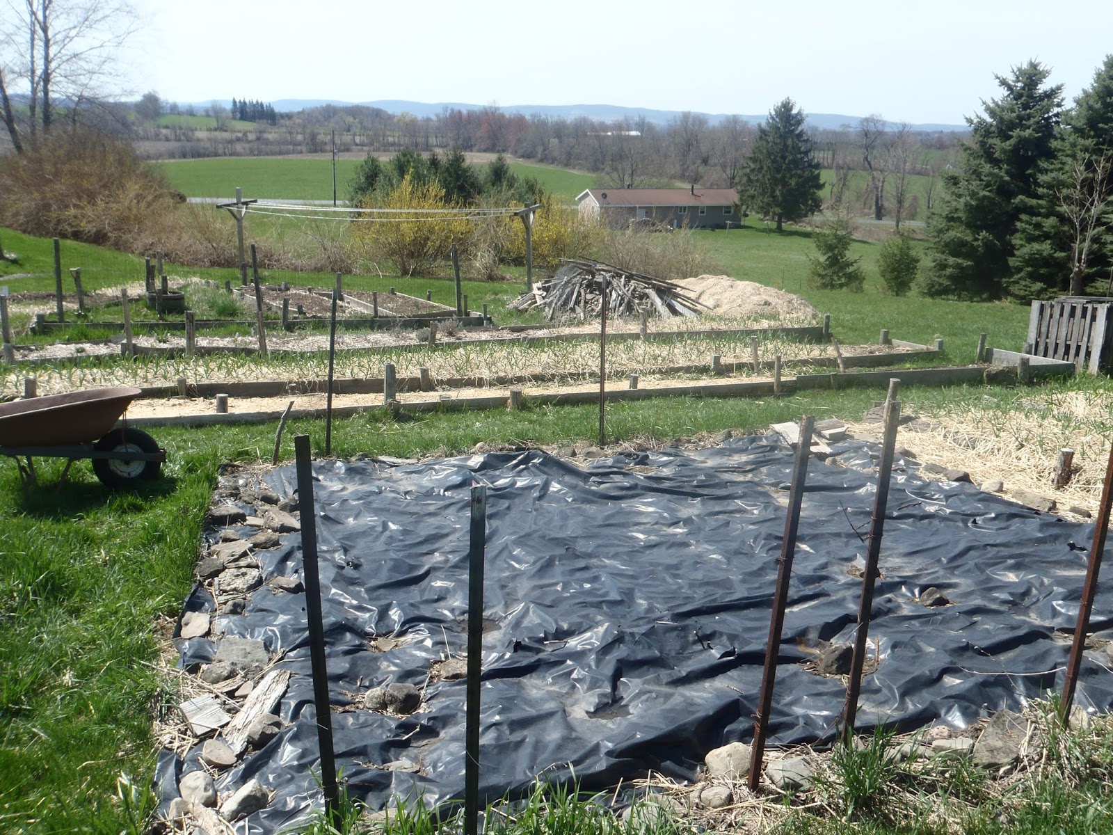 Have You Ever Picked A Carrot? Home Garden Plot Part I Use what you got