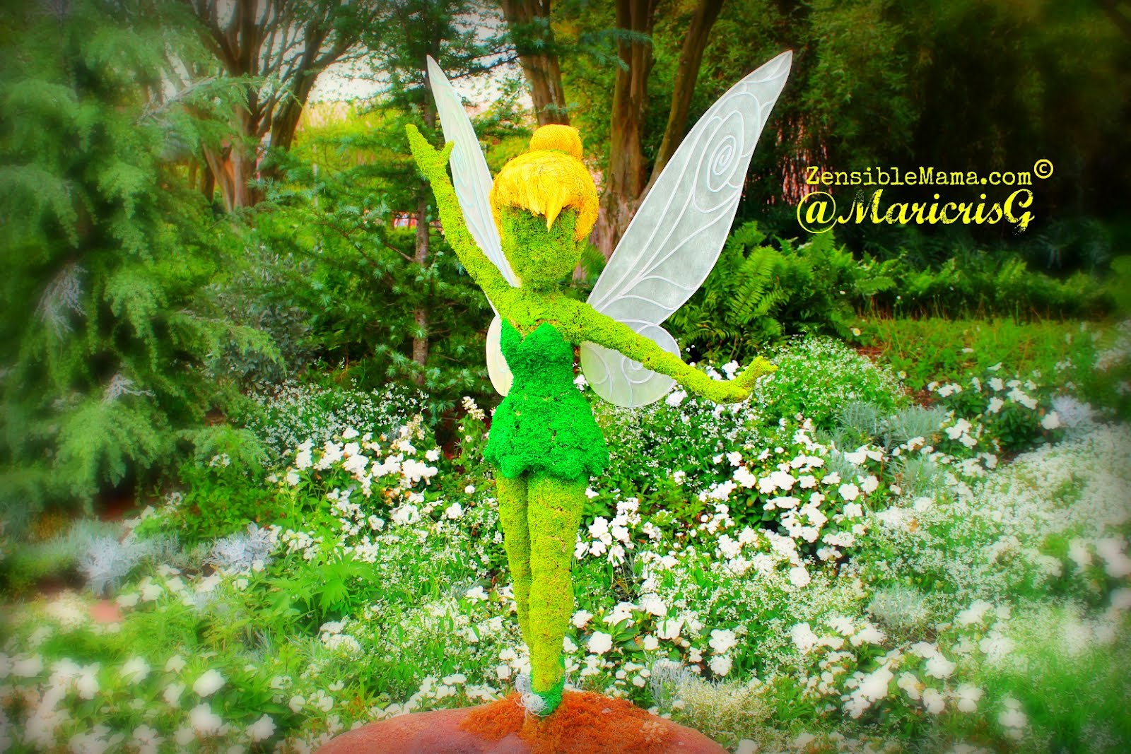 Zensible Mama: Photologue: Fairies and Flowers @ Pixie Hollow Fairy Garden