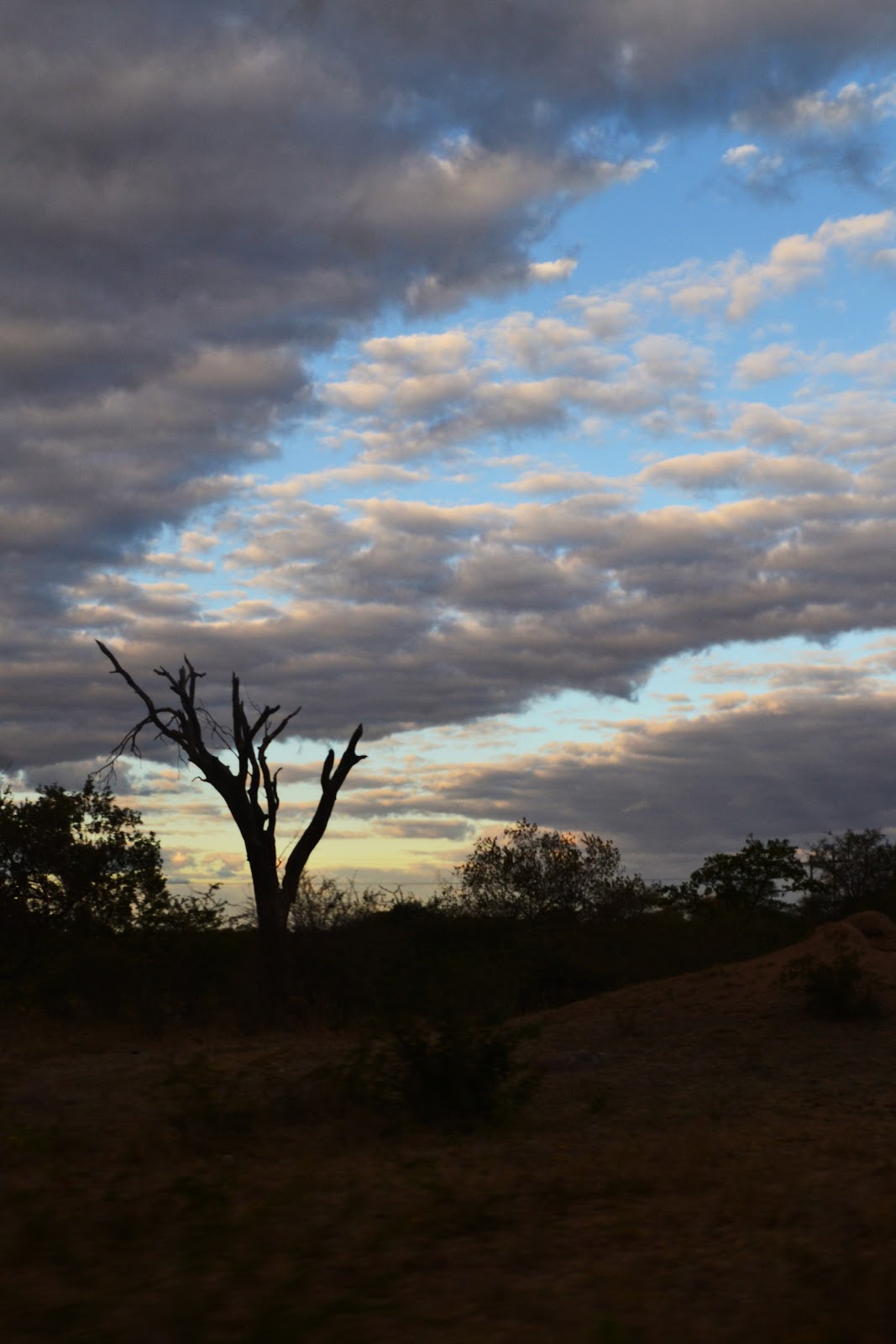 Not All Those Who Wander Are Lost The Great GreyGreen Greasy Banks of