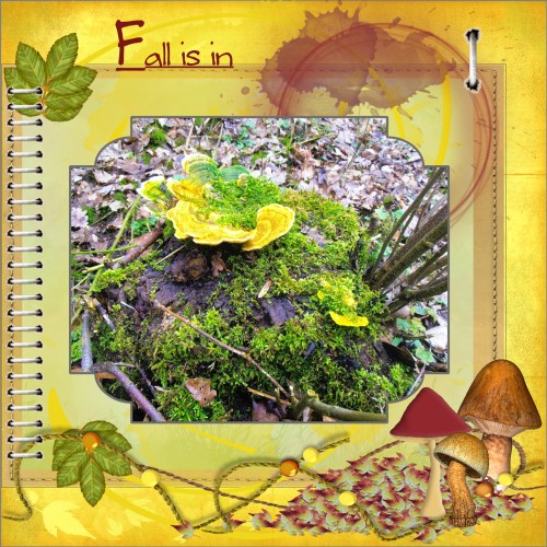Oct.2016 Greetingscard - Fall is in ...big page
