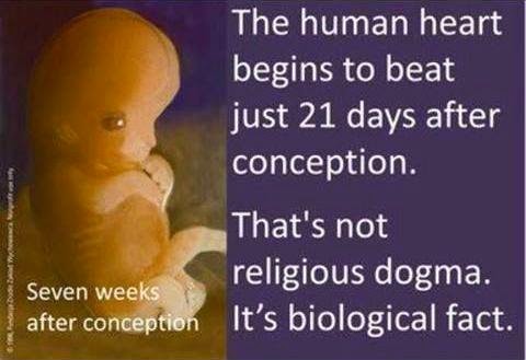 prostituées maastricht