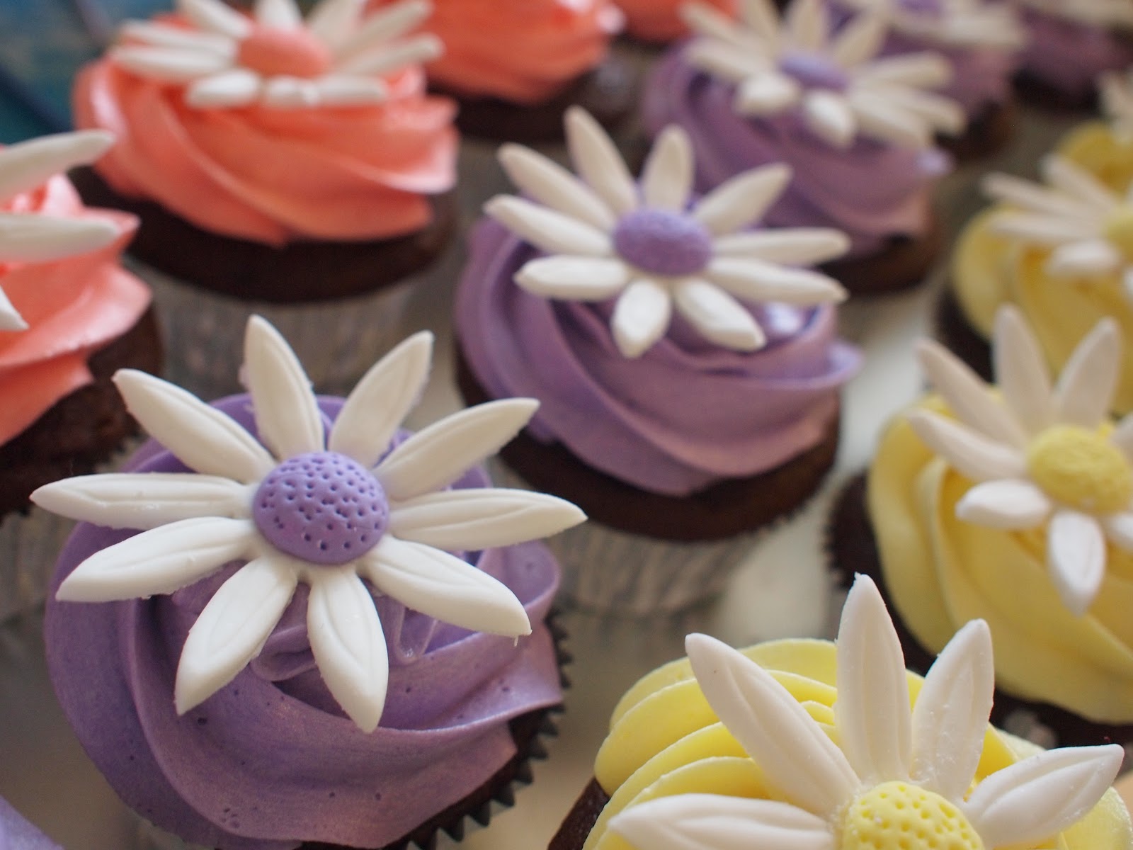 Baking with Best Daisy Cupcakes