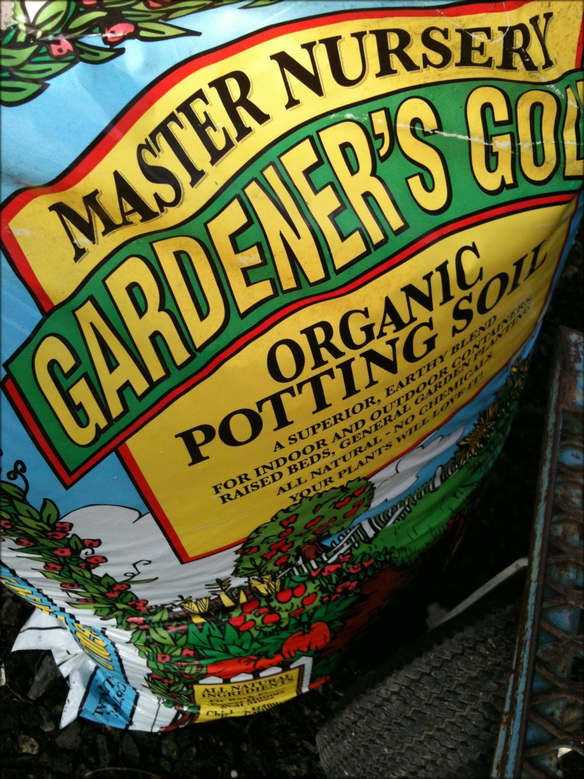 Valley View Nursery Blog Transplanting Tomato Seedlings