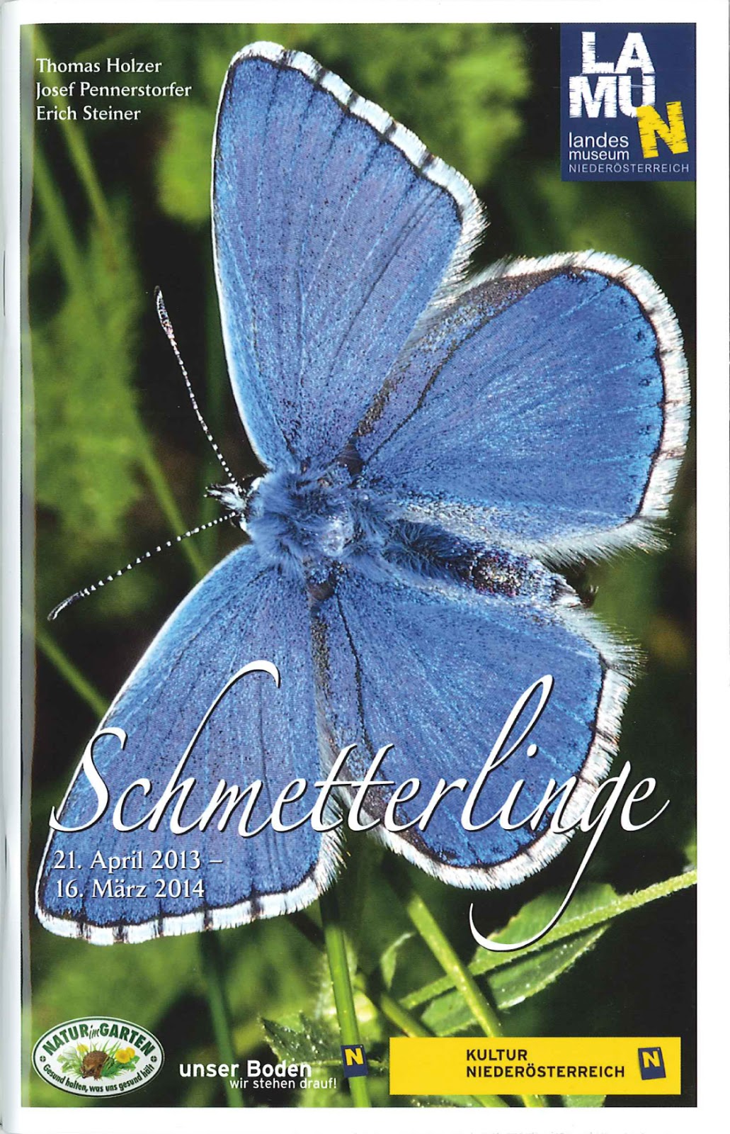 Einfache Fensterdeko Fruhling Schmetterlinge Aus