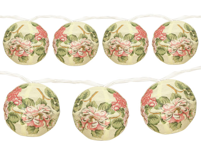 Elephant S Eye Winter Sun And Japanese Flowering Quince