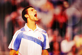 Novak Djokovic Triumph HD Wallpaper