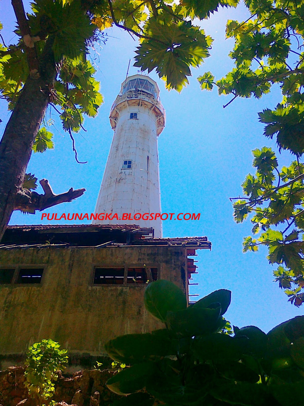 Pulau Pelepas | Pulau Nangka