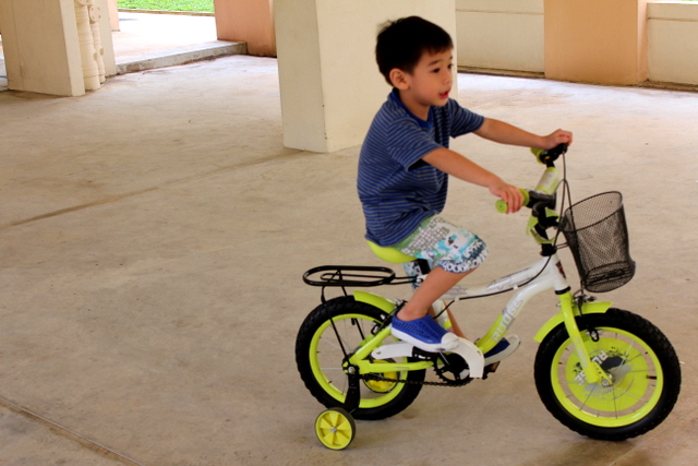 boy riding bicycle bmx kid bike