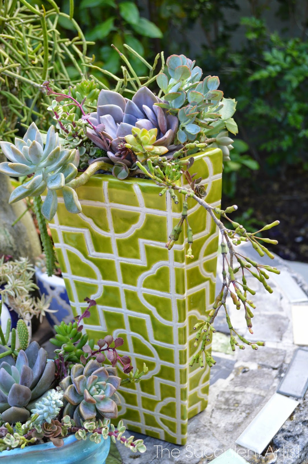 unique cactus planters