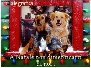 A natale un pensiero anche per loro