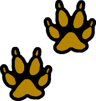 Paws Clipart