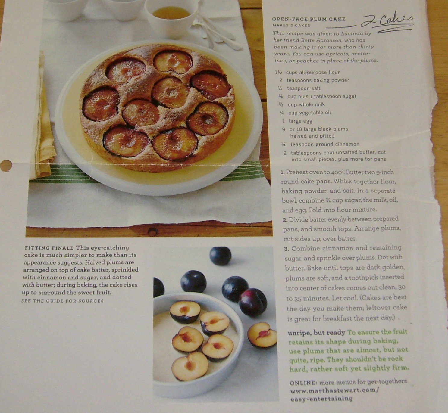 Happier Than A Pig In Mud Open Face Plum/Peach Cake