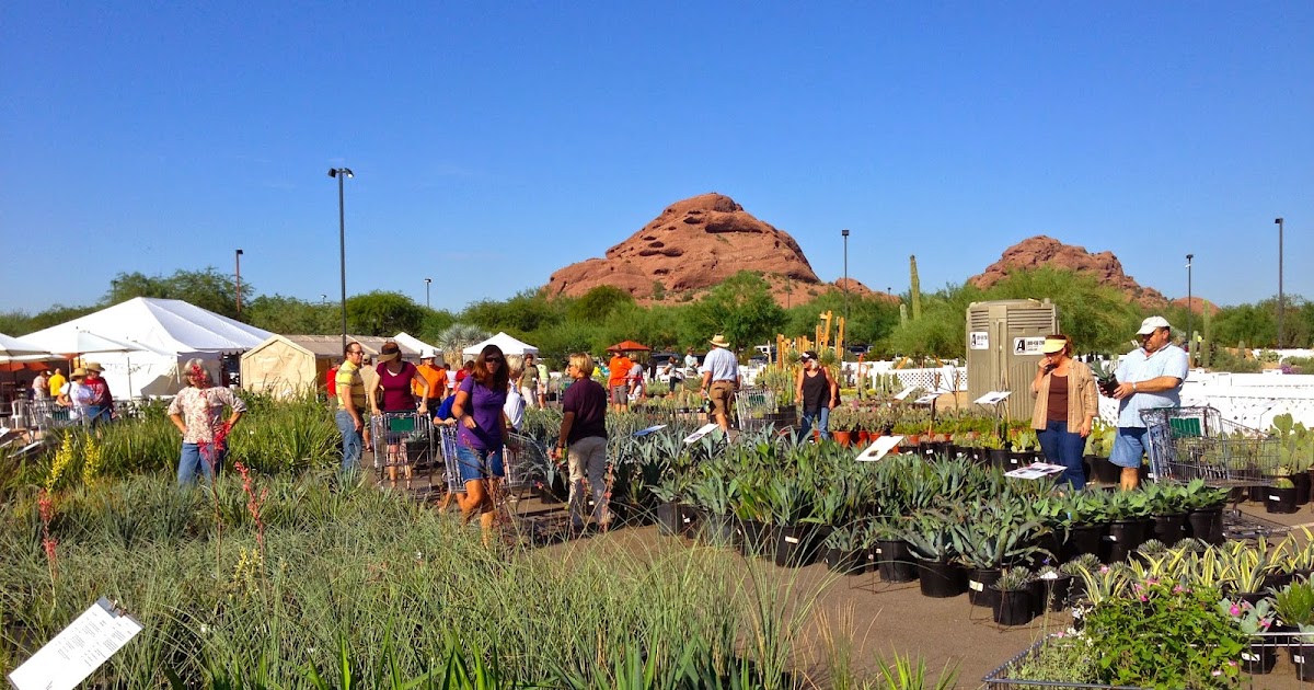 Scottsdale Daily Photo Photo Desert Botanical Garden