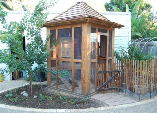 contoh gambar model rumah kandang ayam desain unik minimalis modern dari kayu terbaru 2015/2016 contoh gambar model rumah kandang ayam desain unik minimalis modern dari kayu terbaru 2015/2016