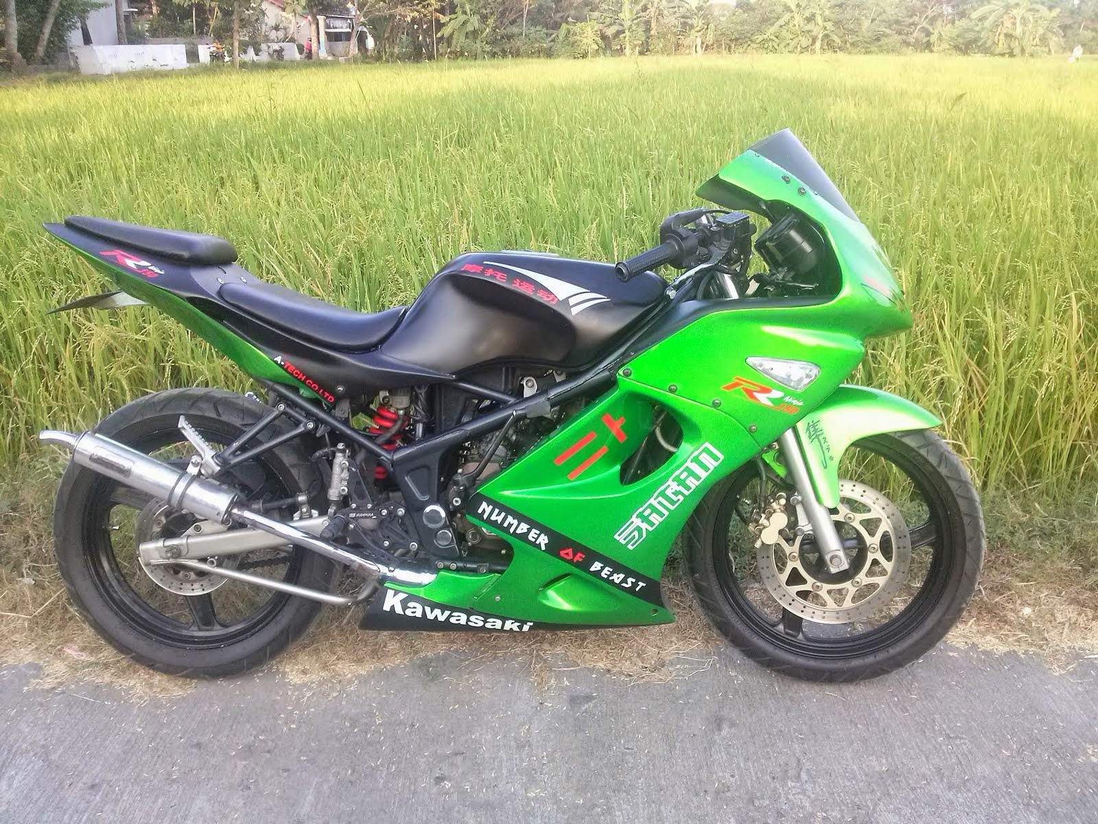 Kawasaki Ninja