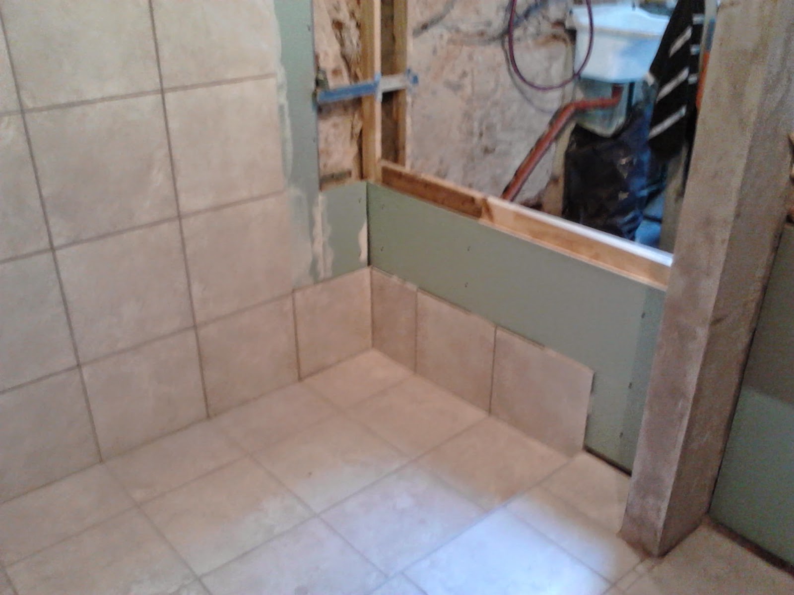 Construcción del baño | Remodelar un PH