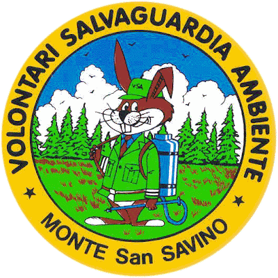 Volontari Salvaguardia Ambiente