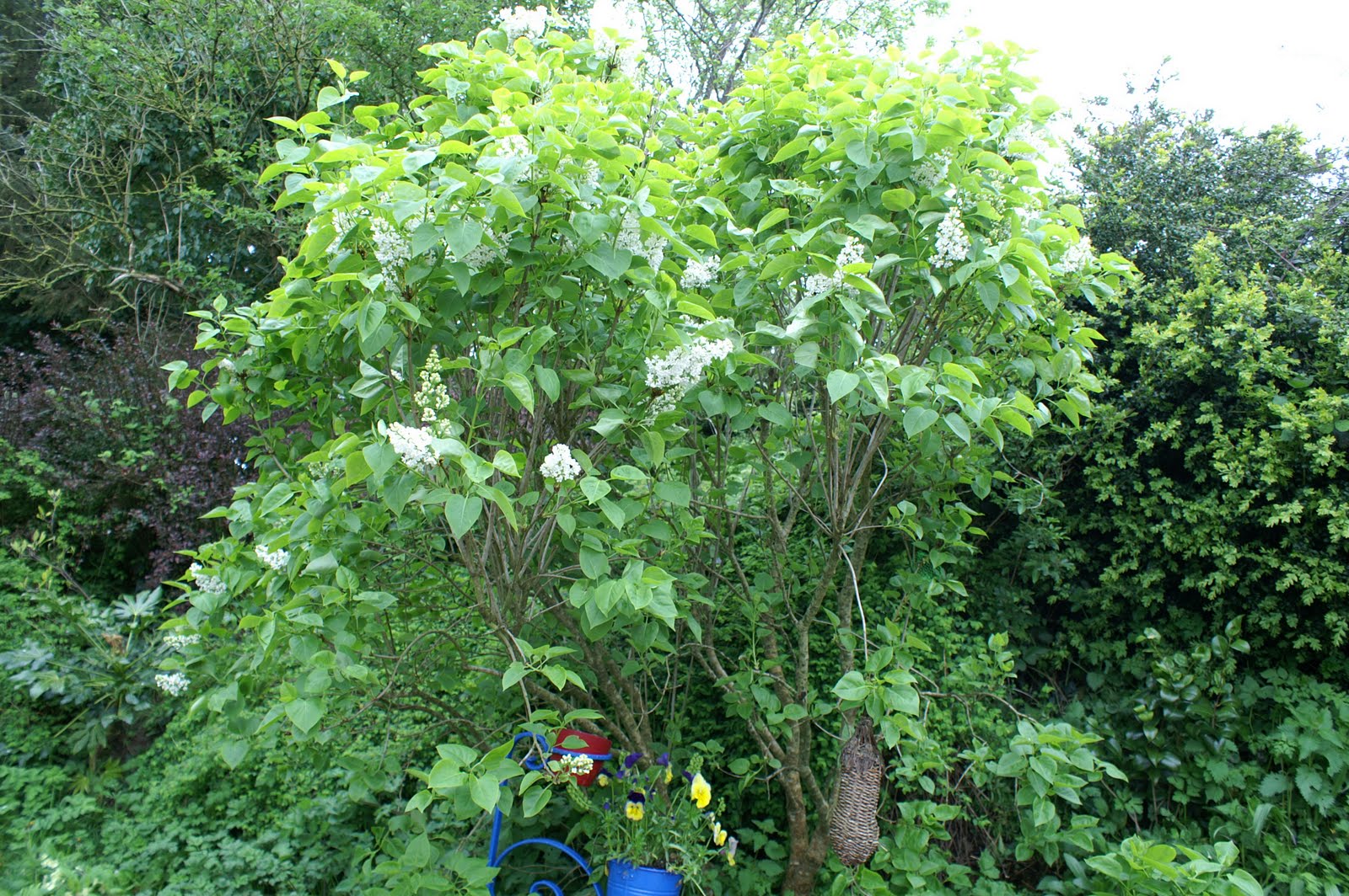 Doğayı Keşfederken Mayıs 2012