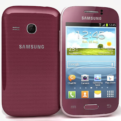 Samsung Galaxy Young S6310 Samsung Galaxy Young S6310
