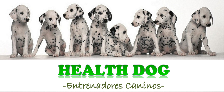 HEALTH DOG - Entrenadores Caninos